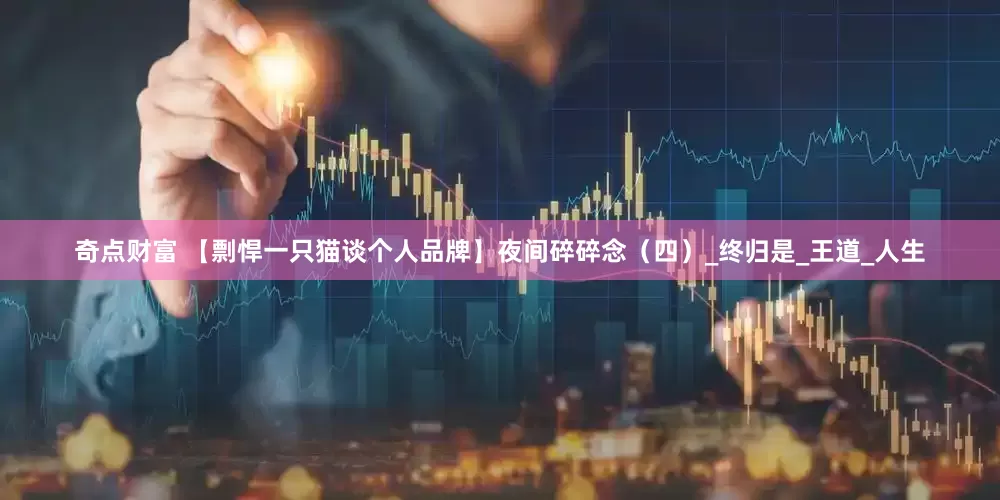 奇点财富 【剽悍一只猫谈个人品牌】夜间碎碎念（四）_终归是_王道_人生