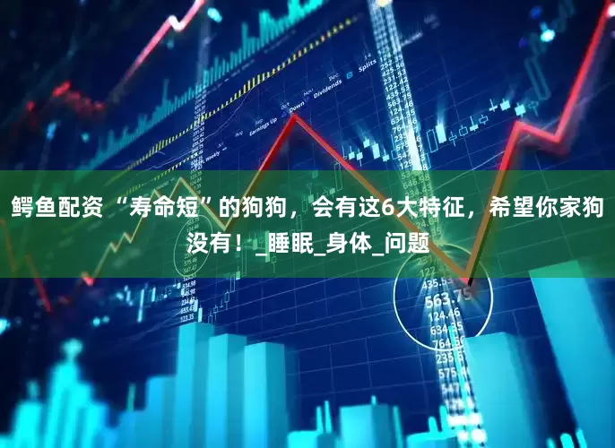 鳄鱼配资 “寿命短”的狗狗，会有这6大特征，希望你家狗没有！_睡眠_身体_问题