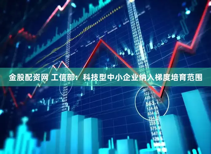 金股配资网 工信部：科技型中小企业纳入梯度培育范围
