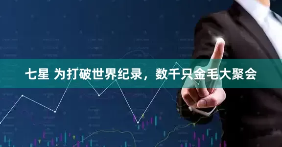 七星 为打破世界纪录，数千只金毛大聚会